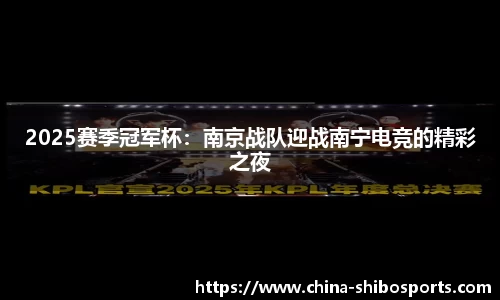 2025赛季冠军杯:南京战队迎战南宁电竞的精彩之夜
