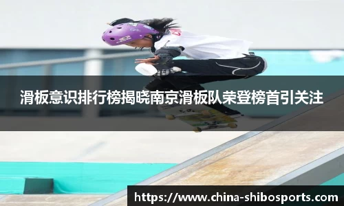 滑板意识排行榜揭晓南京滑板队荣登榜首引关注